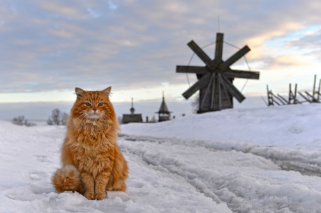 Однодневные экскурсии