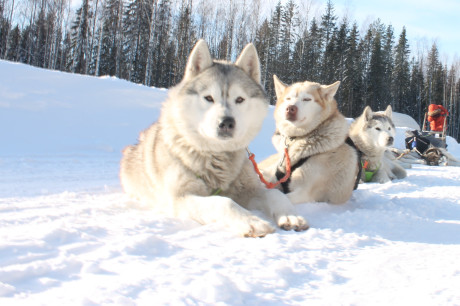 Активные туры 2026