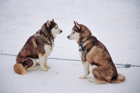 Туры с проживанием на загородной базе