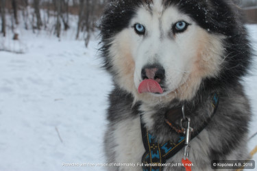 Рекламный тур в январе 2026 (СТРОГО 1 сотрудник от агентства)